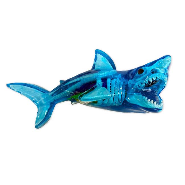 Dissect IT Shark