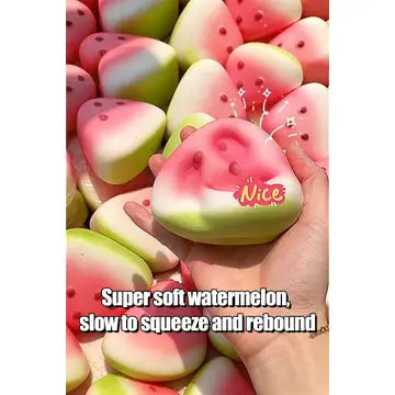 Stress Relief Sensory Watermelon Squishy