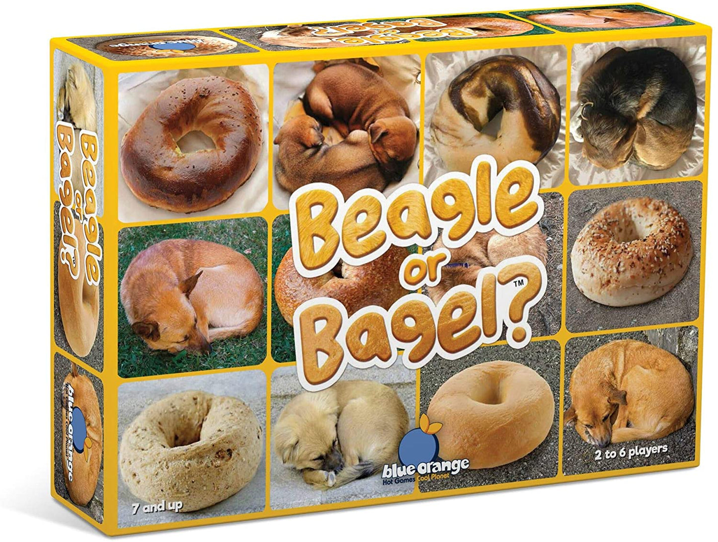 Beagle or Bagel-3