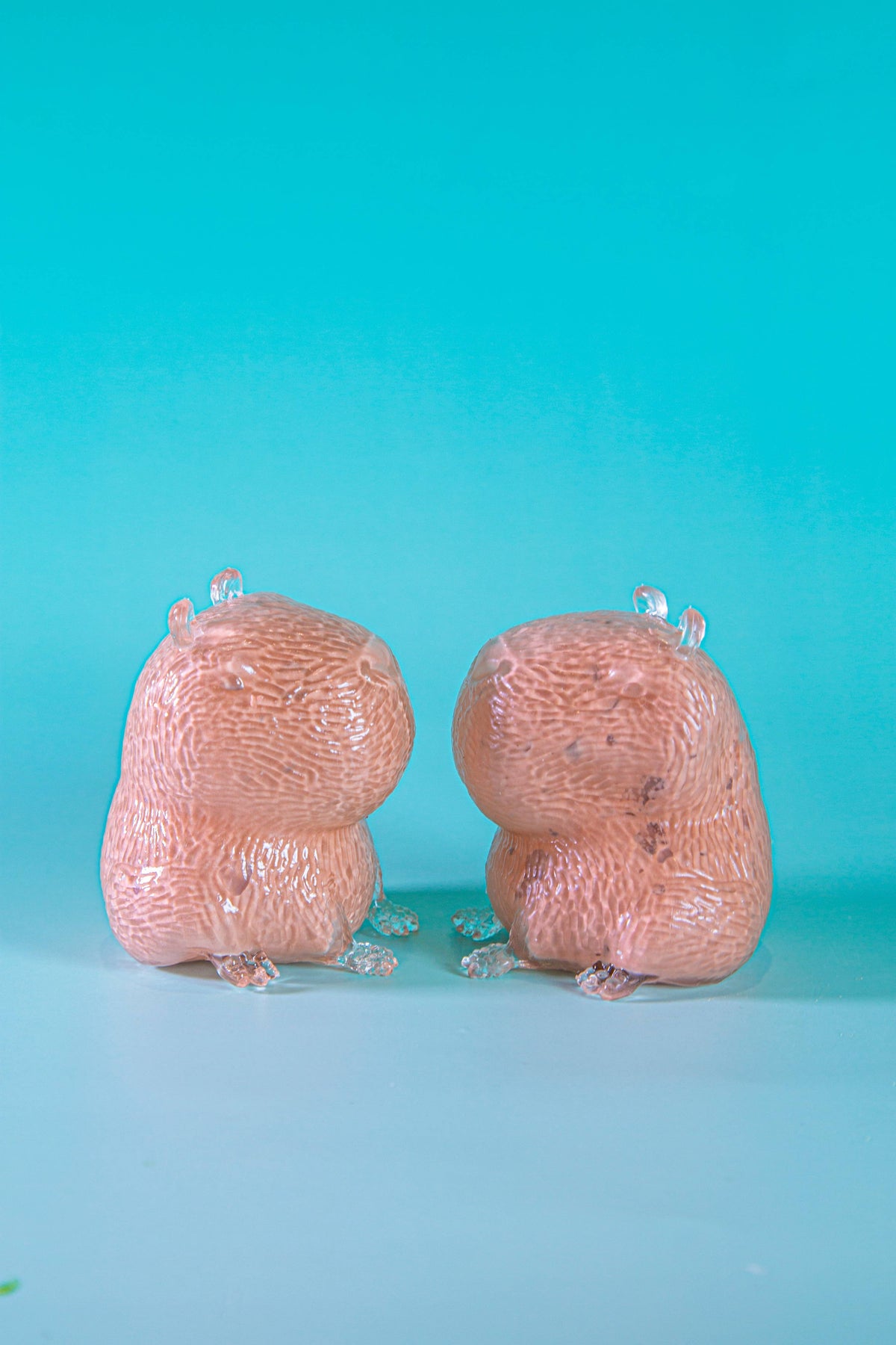 Capybara