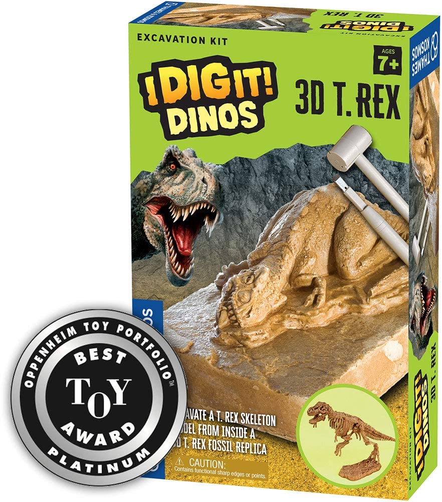 3d T Rex Excavation Kit-2