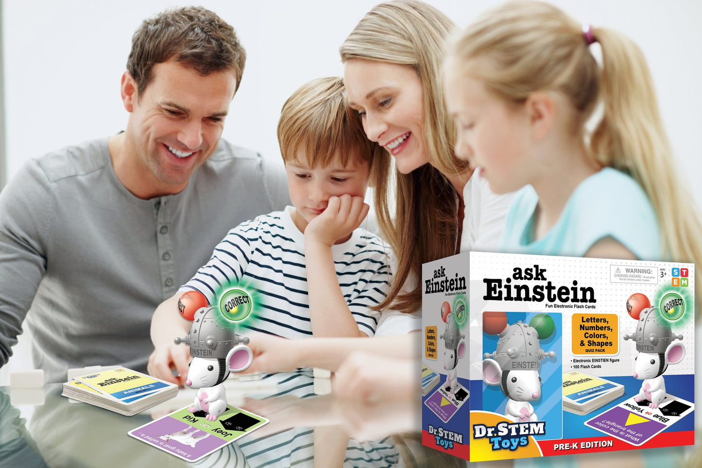 Einstein Animals & Dinos Flash Cards Booster Pack-2