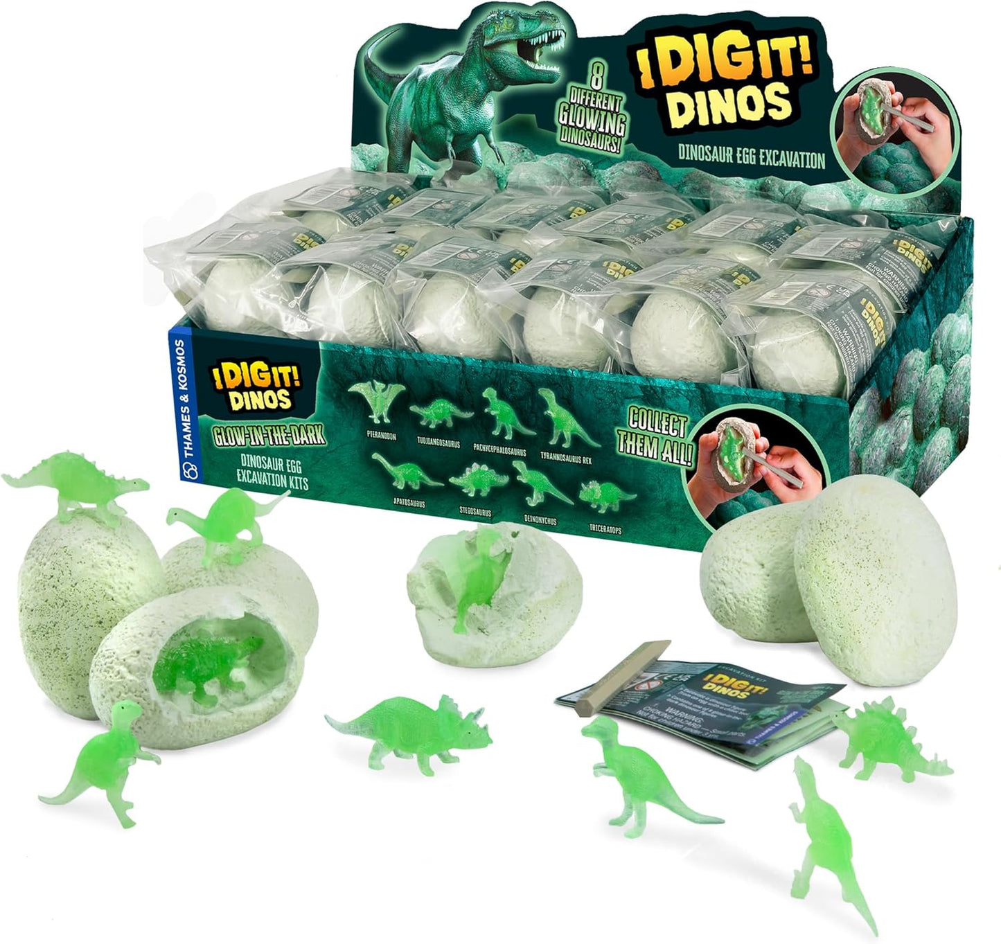 Glow-in-the-Dark Dino Egg-5