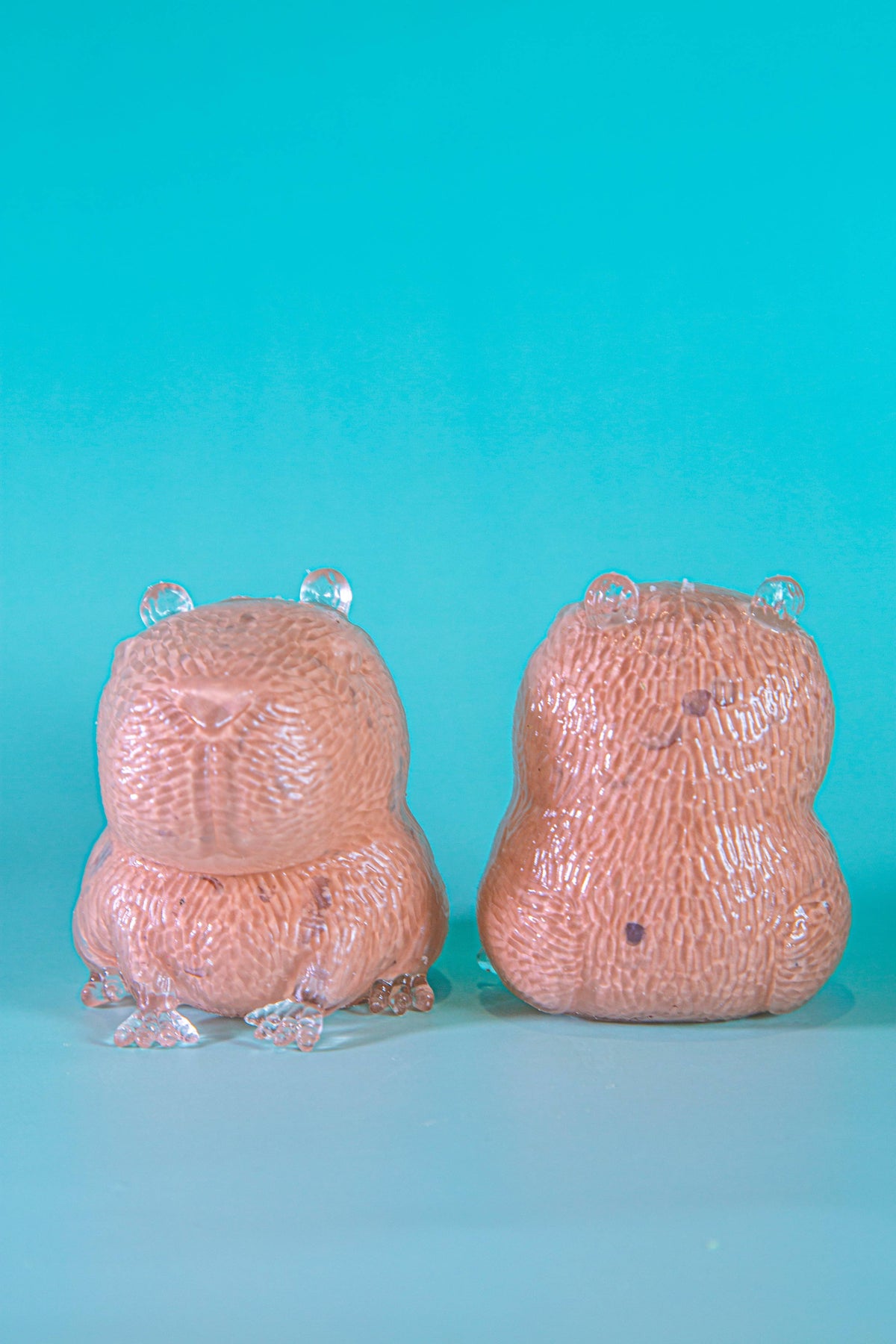 Capybara