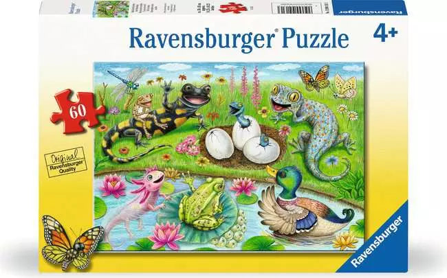 HELLO HATCHLINGS 60 PC