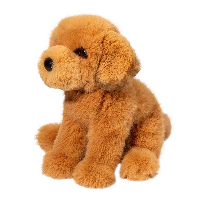 August Golden Retriever