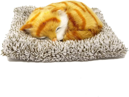 Mini Orange Tabby