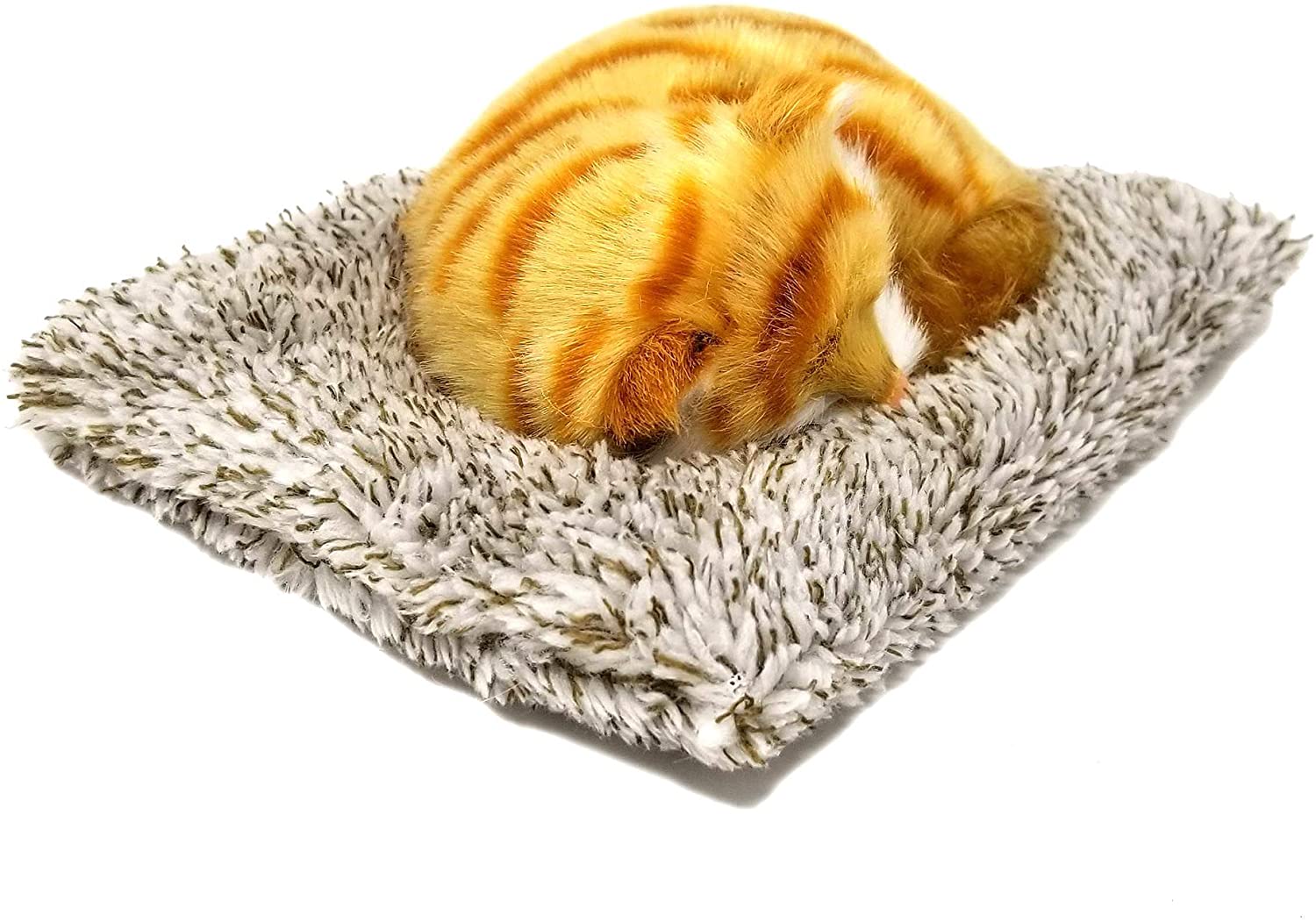 Mini Orange Tabby