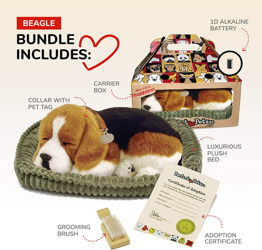 Beagle Perfect Petzzz