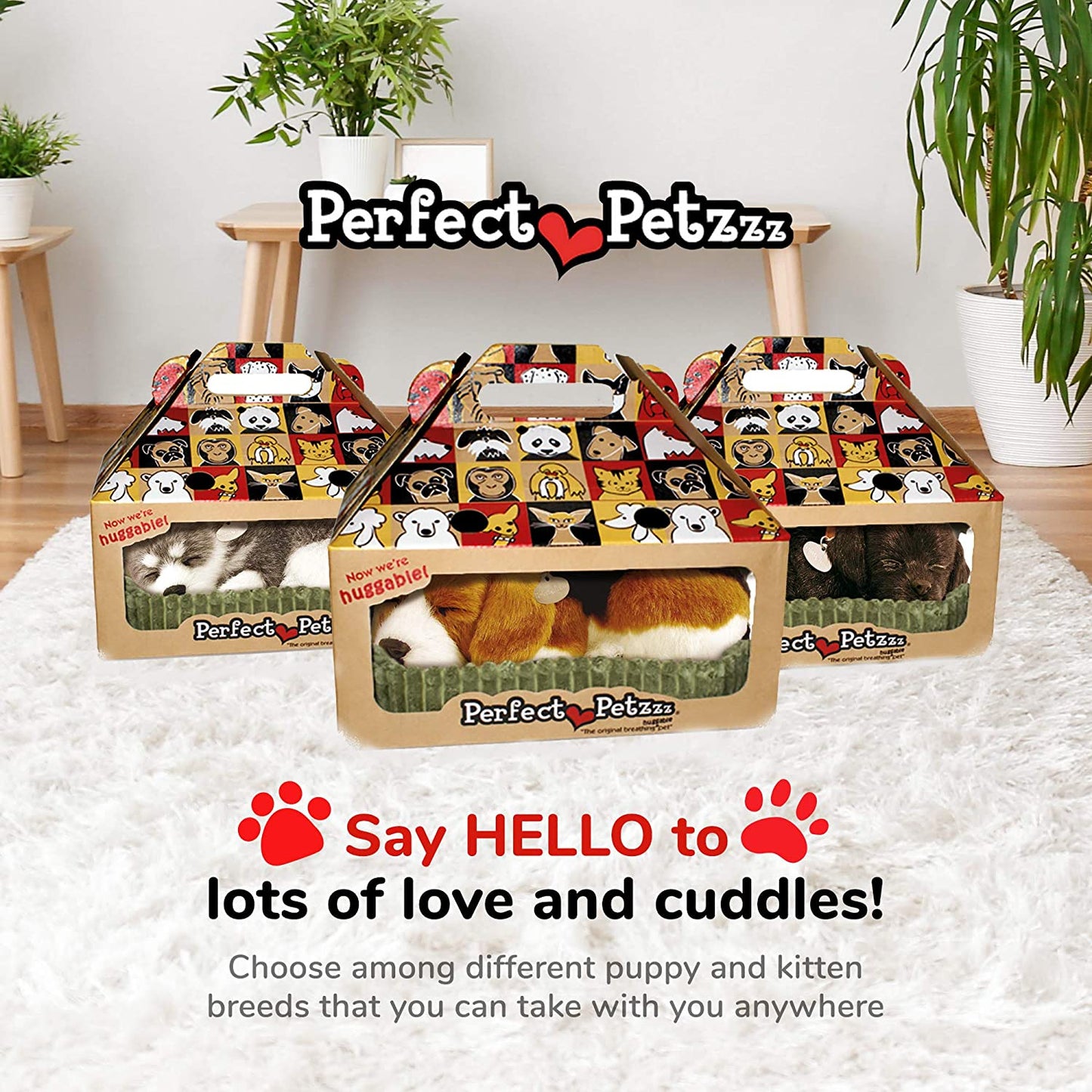 Beagle Perfect Petzzz