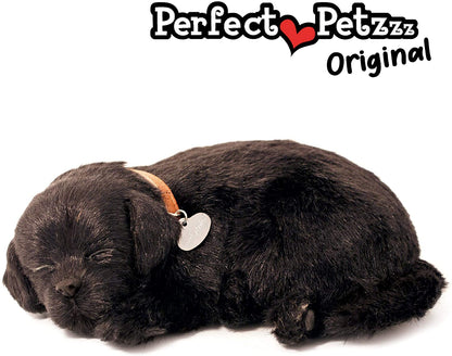 Black Lab Perfect Petzzz