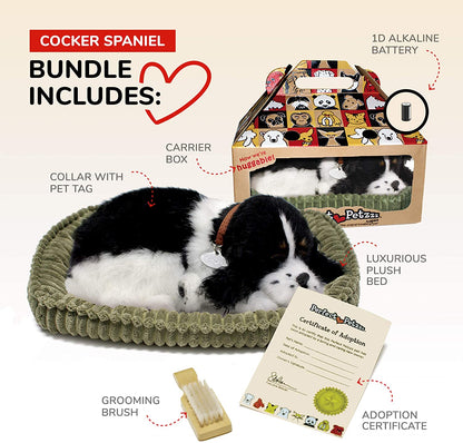 Cocker Spaniel Perfect Pe