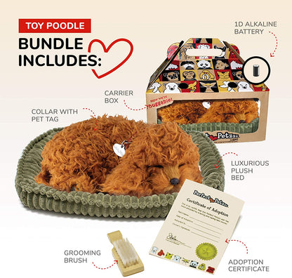 Toy Poodle Perfect Petzzz