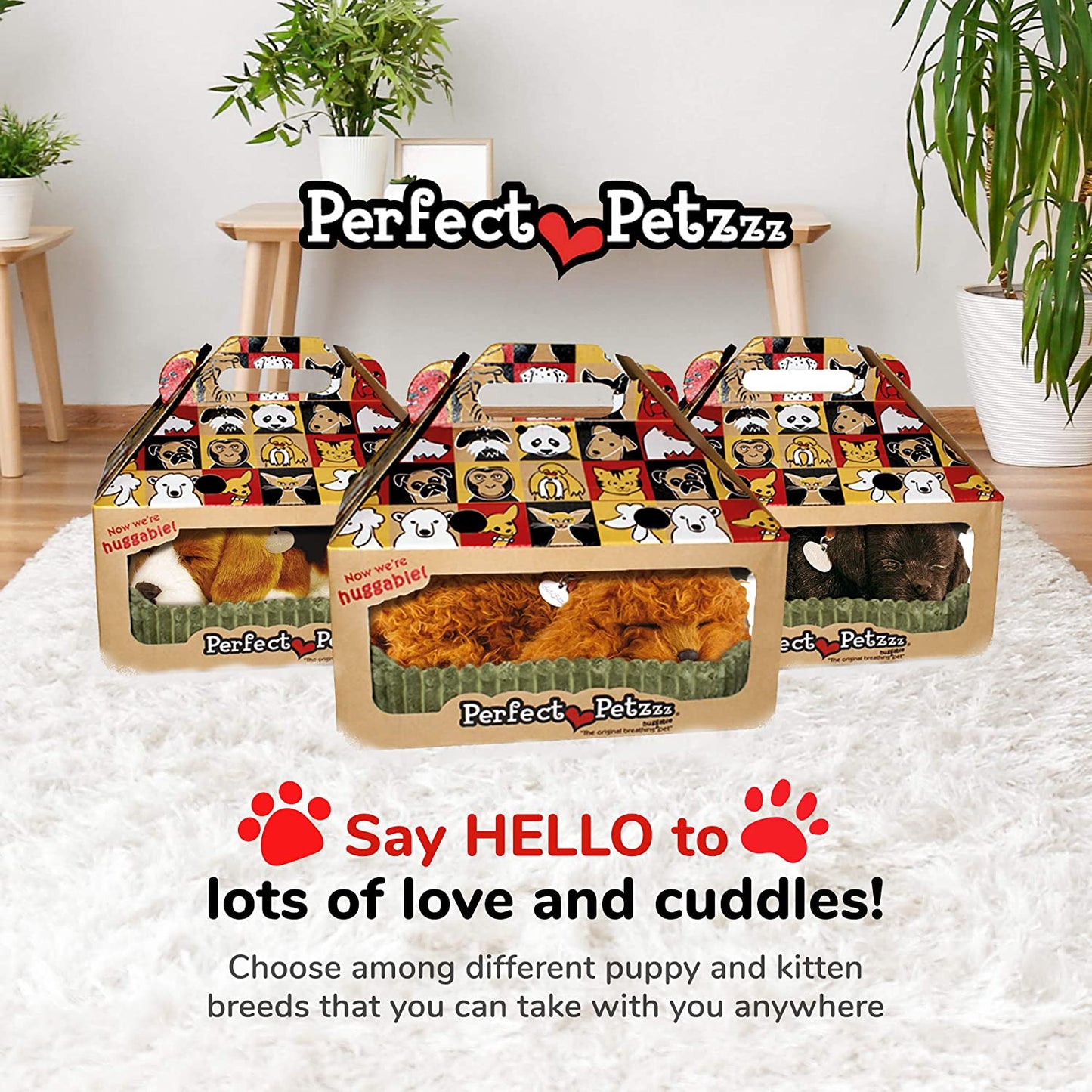 Toy Poodle Perfect Petzzz