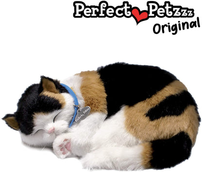 Calico Cat