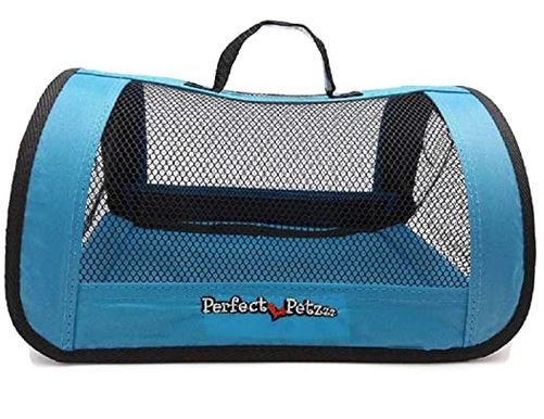 Blue Tote Carrier Perfect