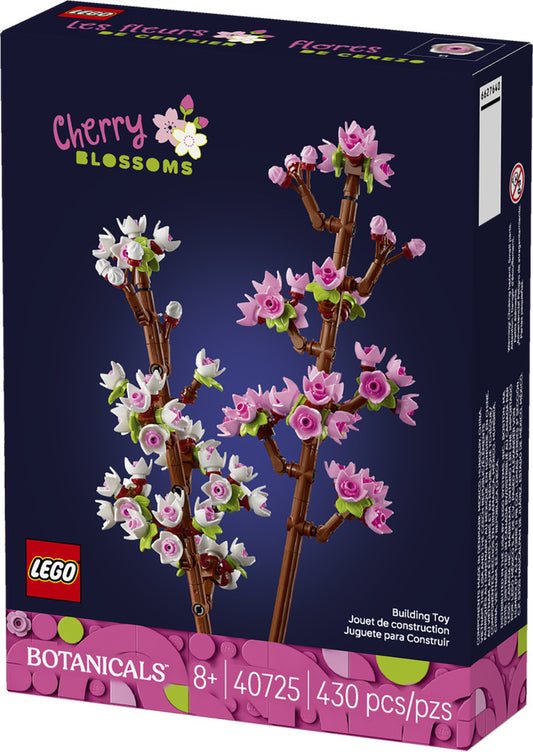 Cherry Blossoms-1