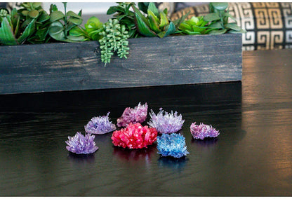Crystal Growing Deluxe-5
