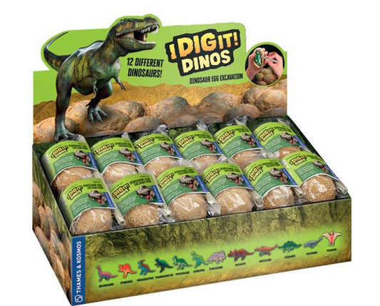 Dino Egg-1