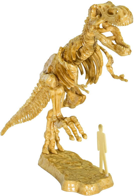 3d T Rex Excavation Kit-1