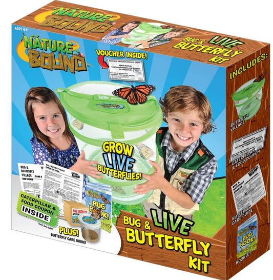 Bug Butterfly Village-1