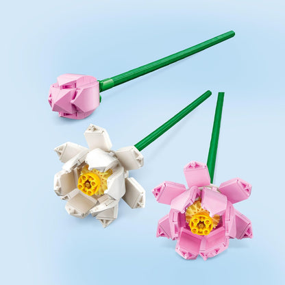 Lotus Flower