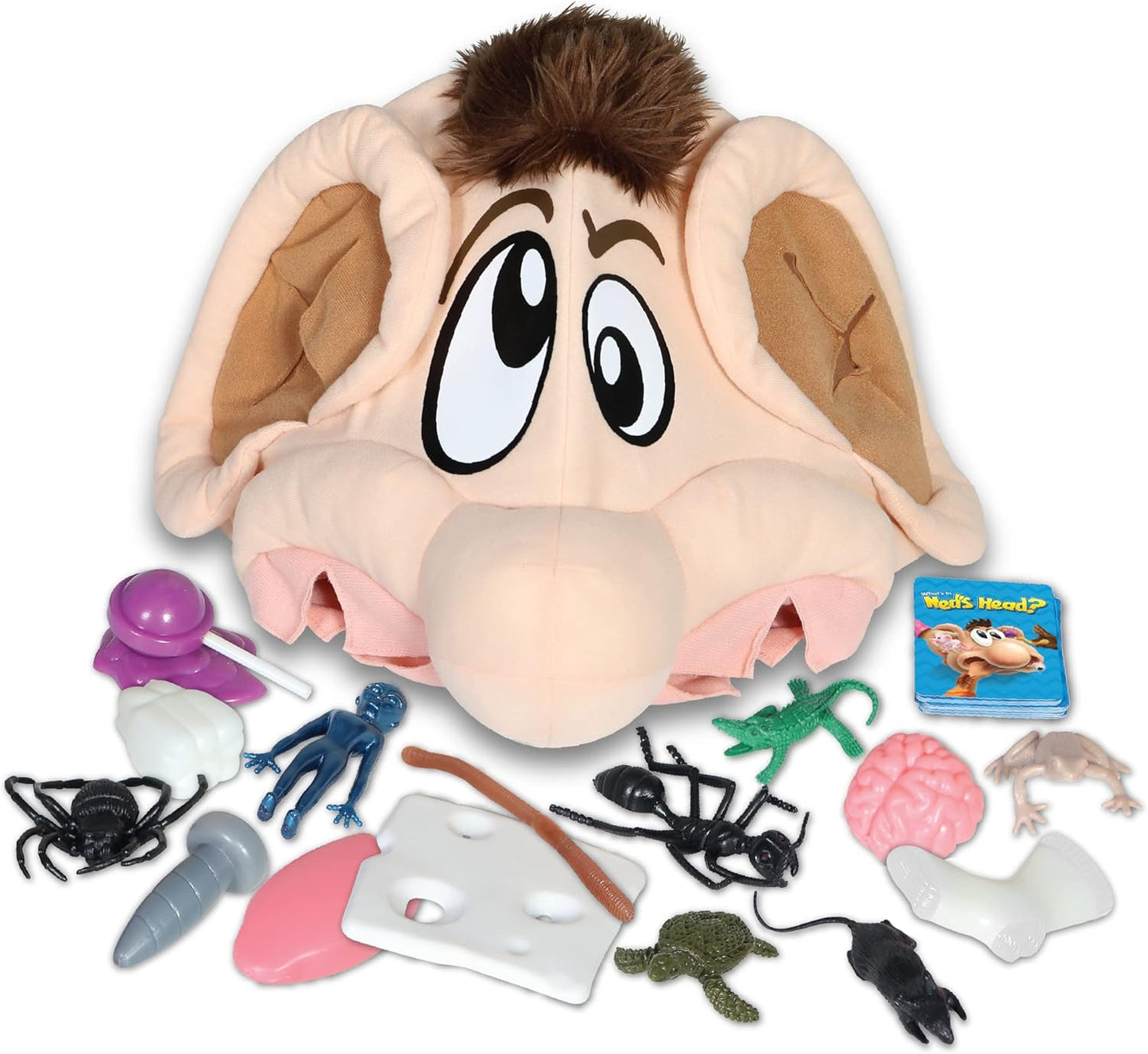 Whats in Neds Head