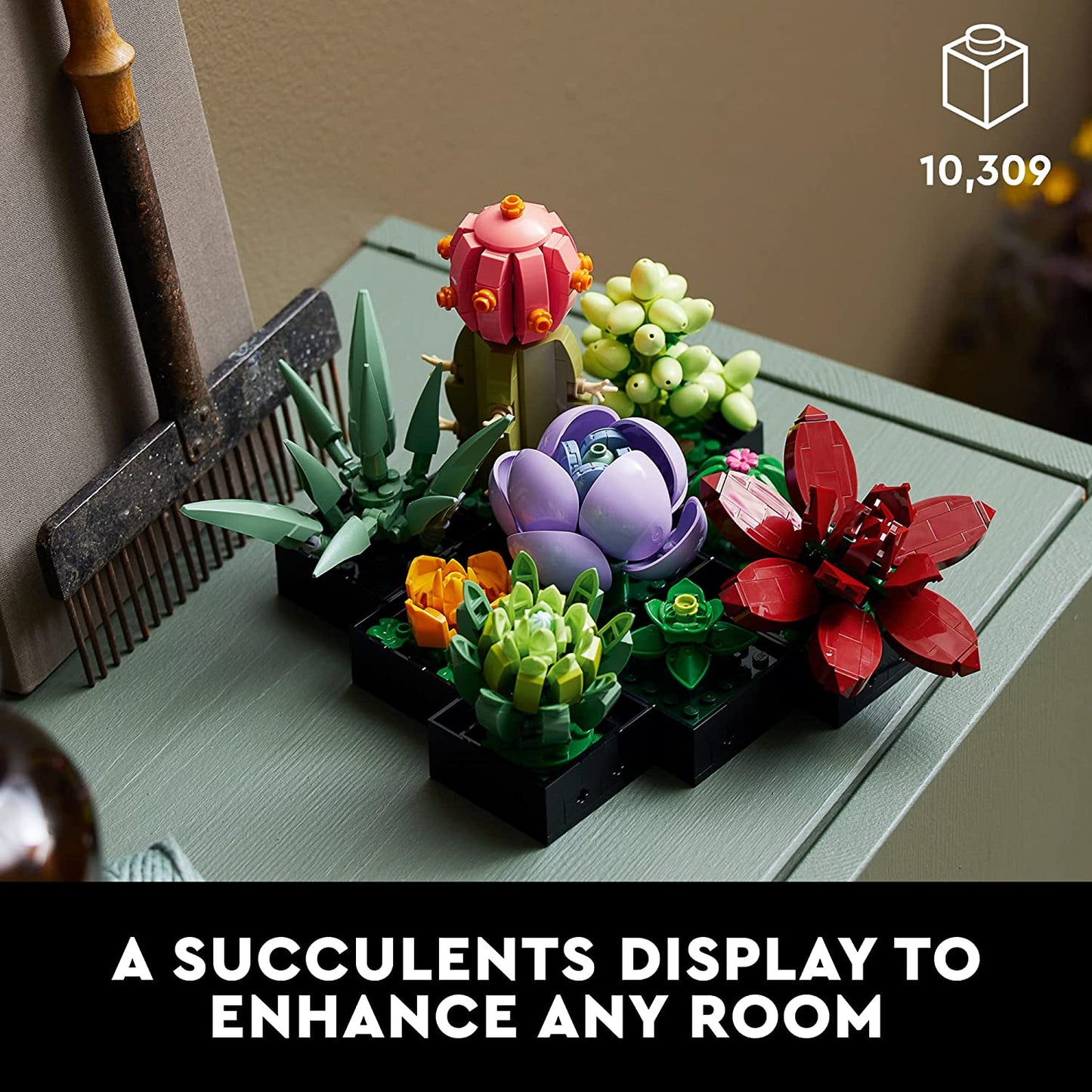 Icons Succulents-2