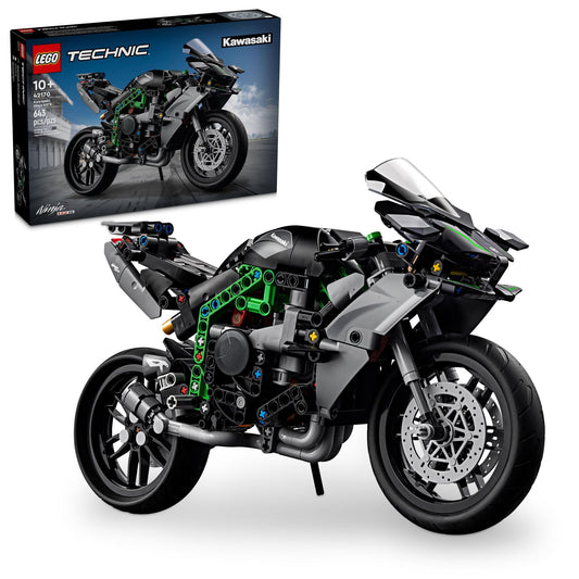 Kawasaki Ninja Motorcycle-1
