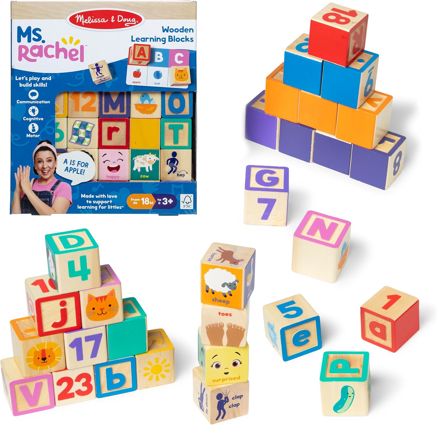 Ms. Rachel Blocks Activit