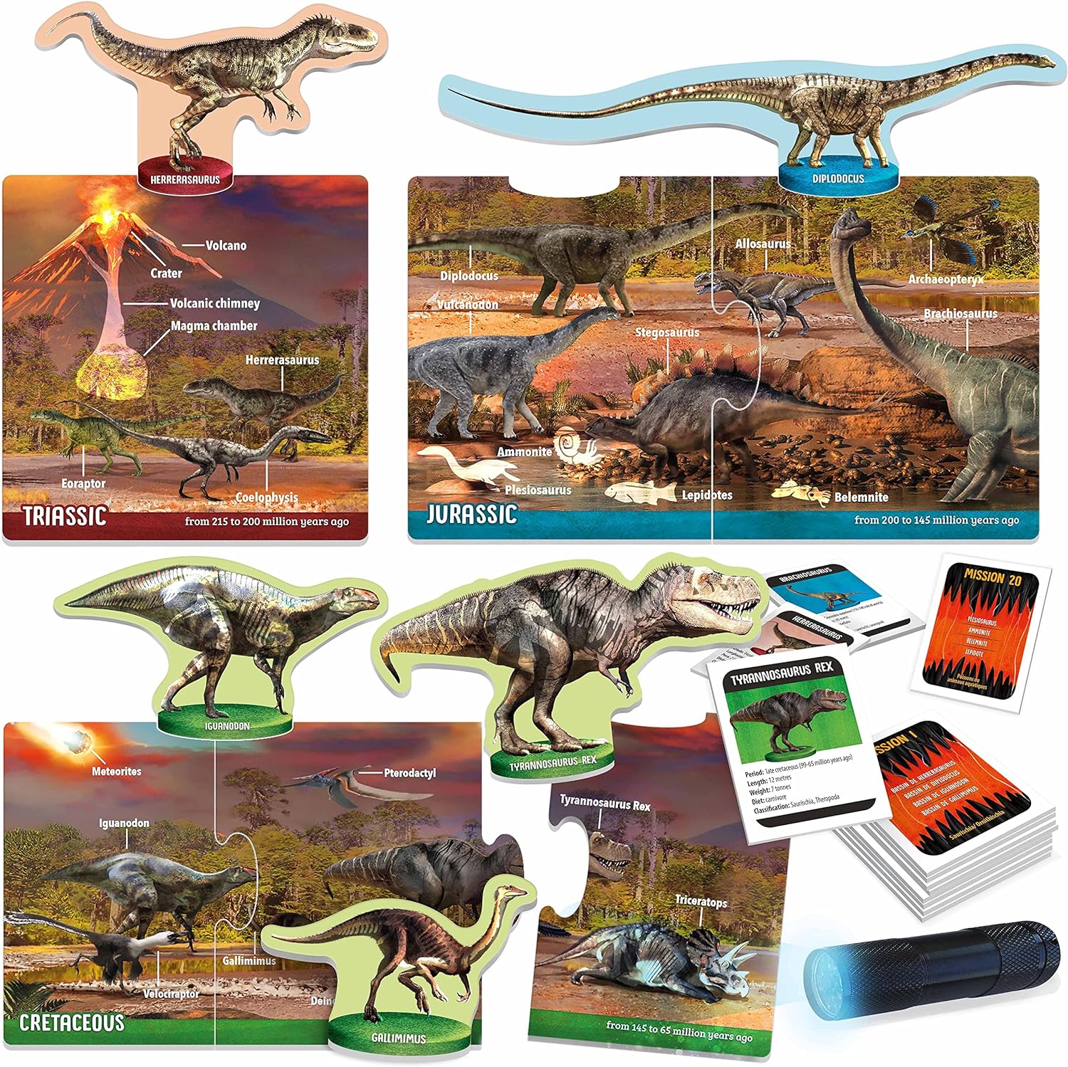 Dinosaurs Under the X-Ray