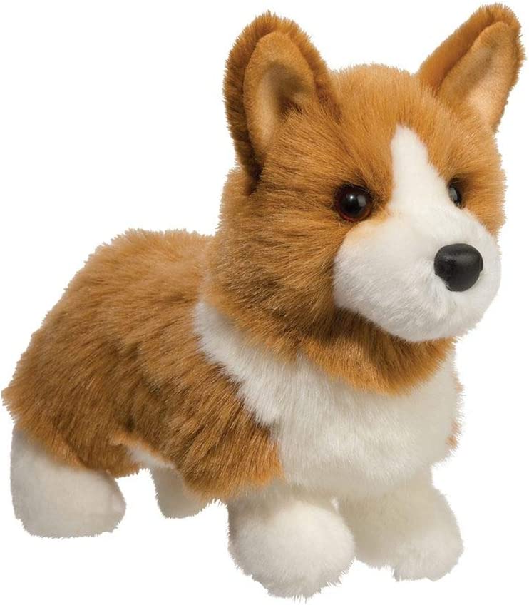 Louie Corgi