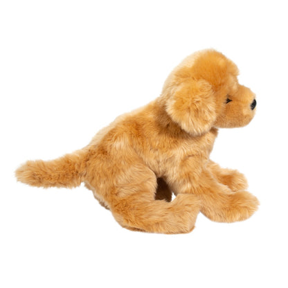Bella Golden Retriever