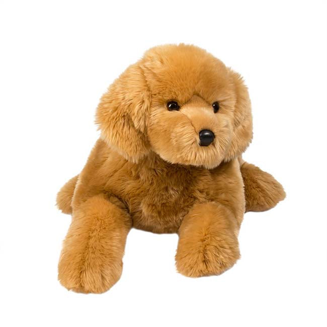 Sherman Golden Retriever Medium