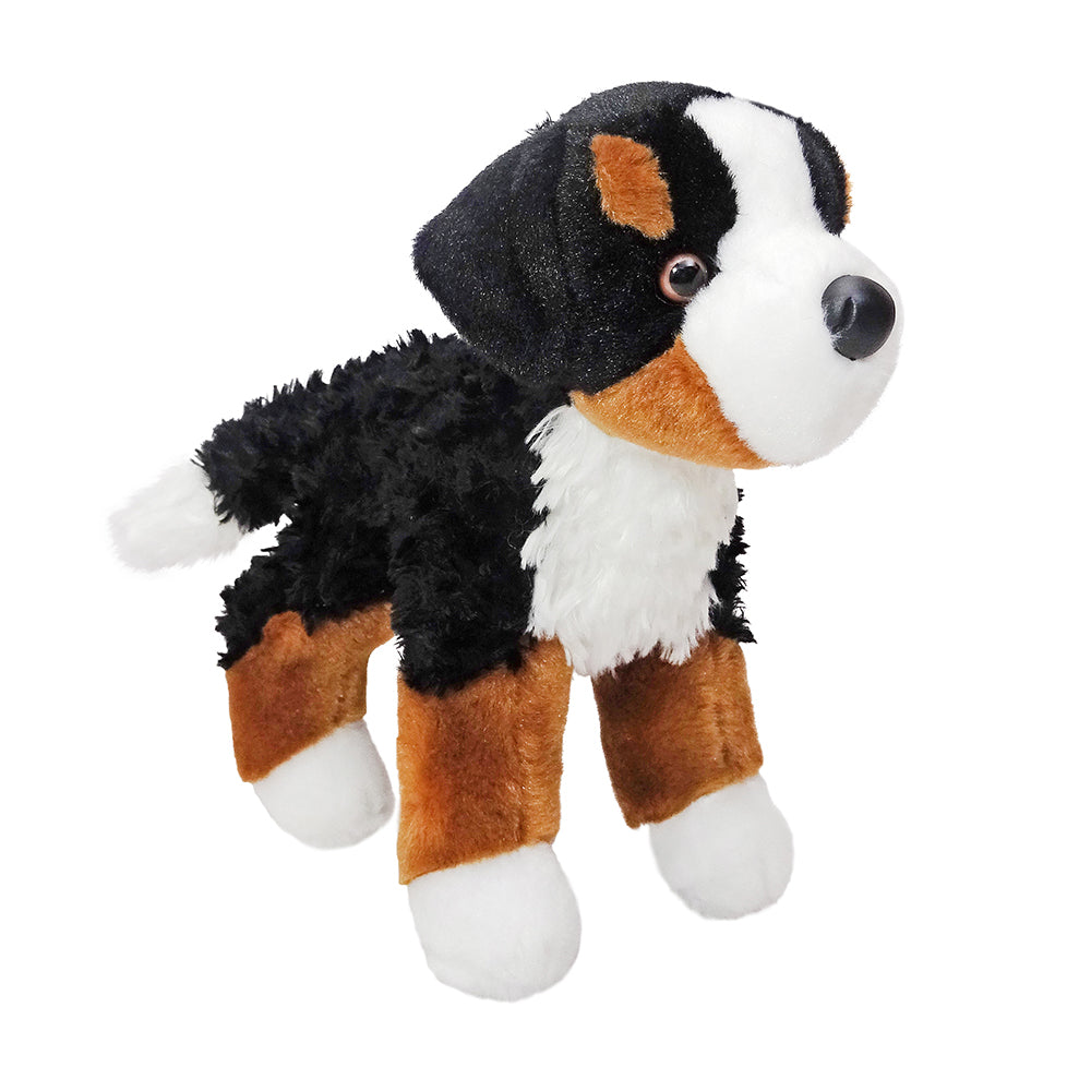 Bernese Mountain Dog-1