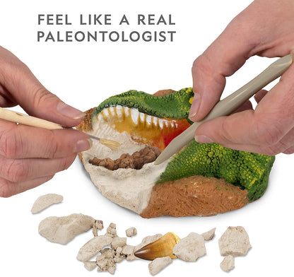 Ng Dino Fossil Dig Kit-2