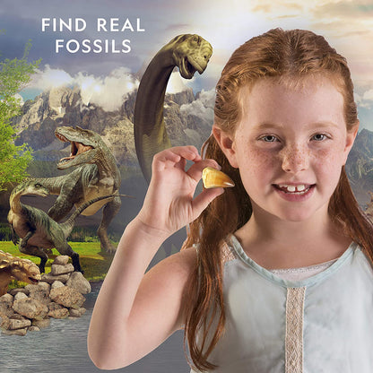 Ng Dino Fossil Dig Kit-3