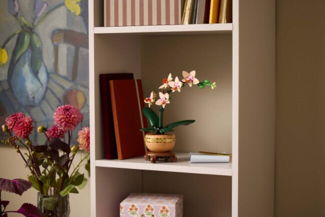 Mini Orchid