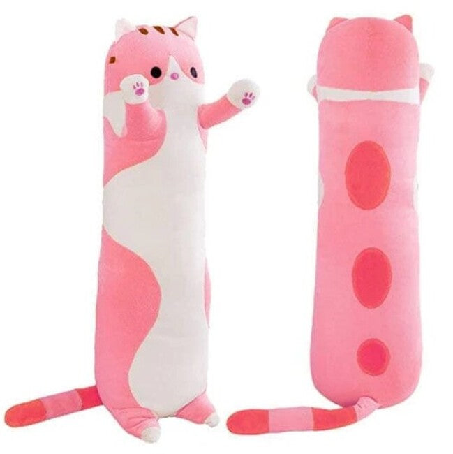 Long Pink Tabby Cat
