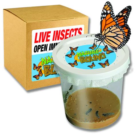 Butterfly Kit Pdq-1
