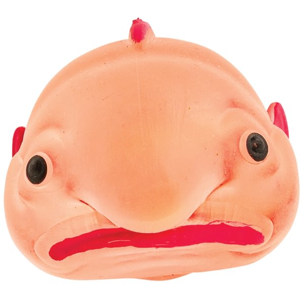 Sugar Blob Squeezy