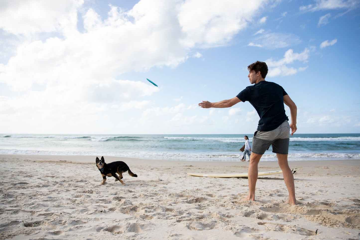 Jetwag Disc for Dogs-2